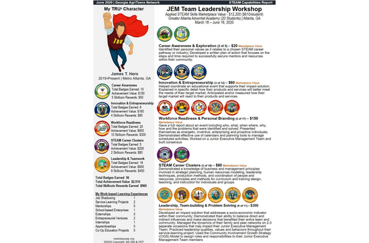 Challenge 6. STEAM Capability Report Template