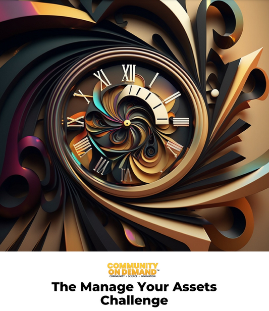 Challenge 5. Manage Your Assets Worksheet Bundle