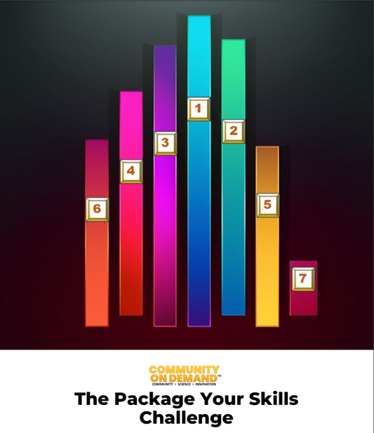 Challenge 7. Package Your Skills Worksheet Bundle